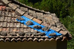 Comment réagir face à un dommage soudain sur votre toiture